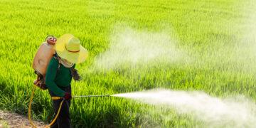 Frutta e verdura: «Elusi controlli sui pesticidi»