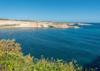 #SaveDelimara: vibranti proteste contro il progetto di un hotel