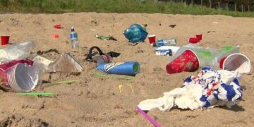 Operatori ecologici per tre popolari spiagge maltesi