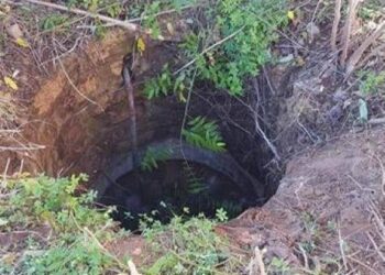 Paura a Ragusa per un bambino maltese