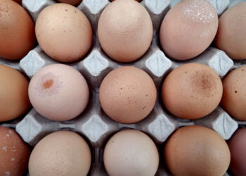 Tracce di Fipronil in uova provenienti da cinque fattorie maltesi, scongiurati i rischi