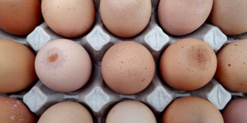 Tracce di Fipronil in uova provenienti da cinque fattorie maltesi, scongiurati i rischi