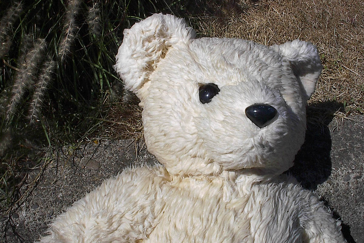 Pedofilia: il reato è in crescita, l’allarme lanciato dal Ministro Farrugia