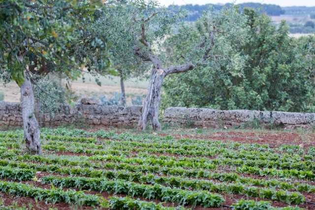 Malta scommette sugli agriturismi e la riqualificazione dei piccoli villaggi