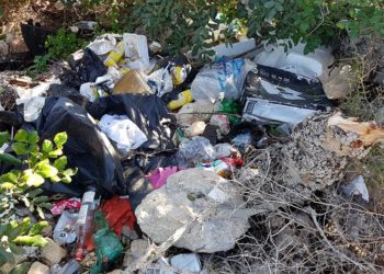Ripulita l’area verde vicino a Notre Dame Ditch, recuperate 667 siringhe