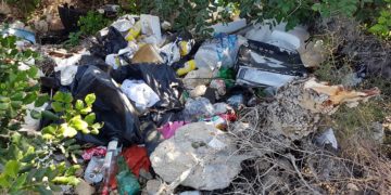 Ripulita l’area verde vicino a Notre Dame Ditch, recuperate 667 siringhe