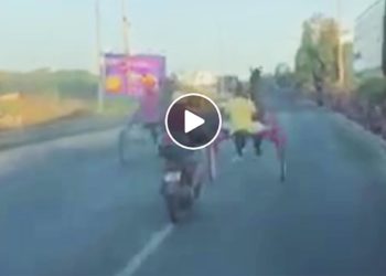 Questa corsa di cavalli a Mriehel sta facendo il giro dell’internet maltese [video]