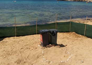 Tartaruga marina depone le uova a Gnejna Bay, cercasi volontari per montare la guardia