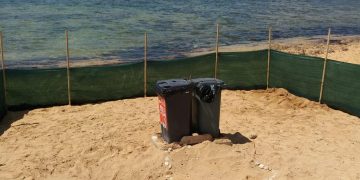 Tartaruga marina depone le uova a Gnejna Bay, cercasi volontari per montare la guardia