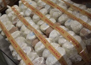 sequestro record cannabis diecimila chili 01-min