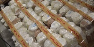 sequestro record cannabis diecimila chili 01-min