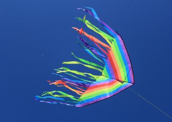 Una moltitudine di aquiloni a colorare il cielo: ecco l’International Kite and Wind Festival