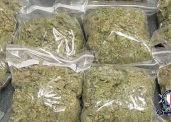 droga sequestro marijuana cannabis