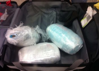 sequestro droga su passeggero proveniente ciampino
