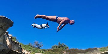 Morto Titti, il cane tuffatore divenuto attrazione di St Peter’s Pool [video]