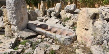 Lupi ed elefanti: sorprendente scoperta archeologica a Għar Dalam