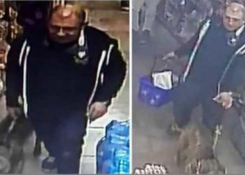 Cane morde la commessa di un minimarket, il padrone scappa: denunciato