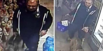 Cane morde la commessa di un minimarket, il padrone scappa: denunciato
