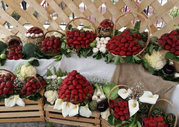 In arrivo un goloso evento che celebra le fragole: è tempo di Festa Frawli