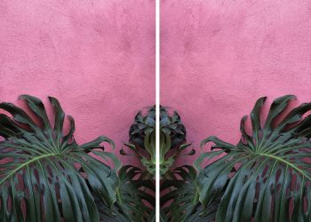 “The Hunt for Pink and Other Stories”: mostra fotografica a Msida