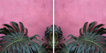 “The Hunt for Pink and Other Stories”: mostra fotografica a Msida