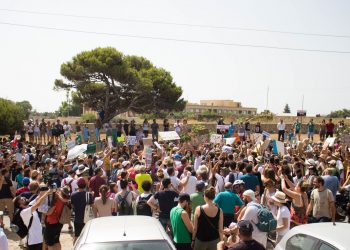 Progetto Central Link: residenti e Ong in rivolta contro l’abbattimento di alberi