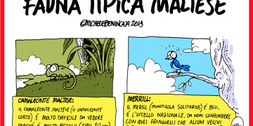 La satira di Michele Benincasa: Fauna tipica maltese