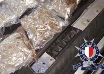 La squadra antidroga sequestra 31 chili di Cannabis. In arresto due giovani cittadini rumeni