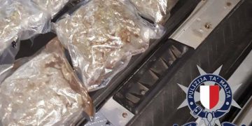 La squadra antidroga sequestra 31 chili di Cannabis. In arresto due giovani cittadini rumeni