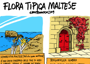 La satira di Michele Benincasa: Flora maltese