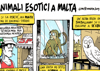 La satira di Michele Benincasa: Animali esotici a Malta