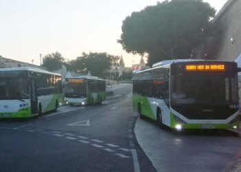 autobus bus trasporto pubblico transport