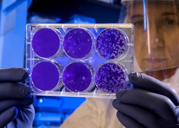 cellule ricerca laboratorio sviluppo staminali scienza