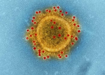 L’Organizzazione mondiale della sanità dichiara il Covid-19 «pandemia»