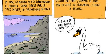 Satira – Hunting Season