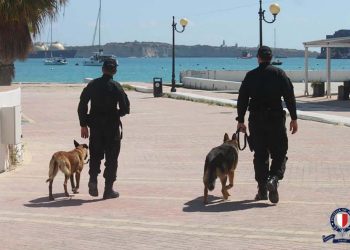 Live blog: segui in diretta l’emergenza Covid-19 a Malta