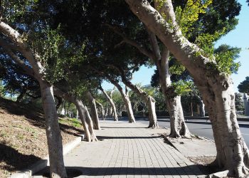 Ambiente: esiste il piacere dell’aria pura a Malta?