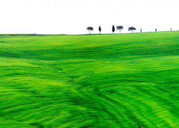 L’Istituto Italiano di Cultura presenta “Attraverso paesaggi” mostra fotografica di Stefano Amantini