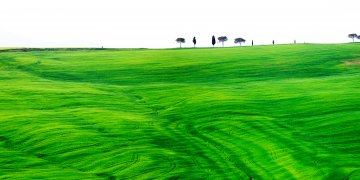 L’Istituto Italiano di Cultura presenta “Attraverso paesaggi” mostra fotografica di Stefano Amantini