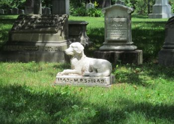 Confermata a Malta l’apertura del cimitero per animali