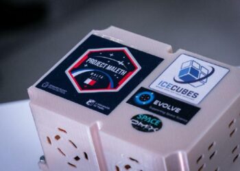 La prima volta di Malta nello spazio: “lancia” in orbita i batteri dei pazienti per scoprire nuove cure per il diabete