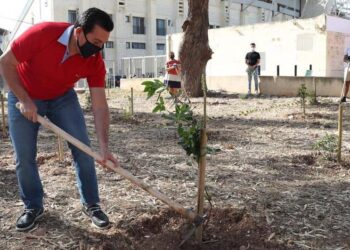 Meno cemento, più verde: 150 alberi piantati nell’area dello stadio di Ta’ Qali
