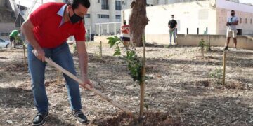 Meno cemento, più verde: 150 alberi piantati nell’area dello stadio di Ta’ Qali