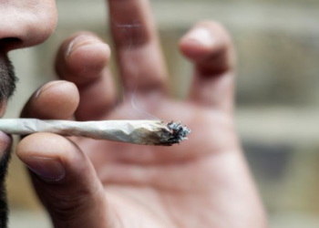 Cannabis libera, i medici contro la linea “morbida” del governo: «Inciderà sul sistema sanitario»