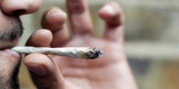 Cannabis libera, i medici contro la linea “morbida” del governo: «Inciderà sul sistema sanitario»