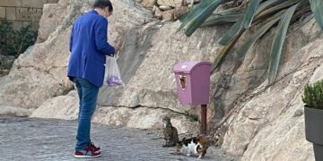 Coccole e croccantini, il dolce amore dei maltesi per i gatti randagi