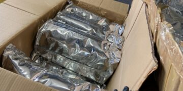 Sequestrati in aeroporto 113 kg di khat: un arresto