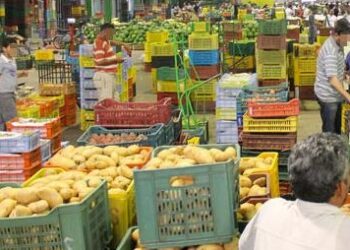 In arrivo codici a barre per frutta e verdura dei mercati di Pixkerija e Pitkalijaja