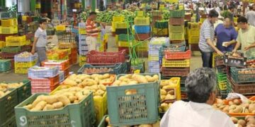 In arrivo codici a barre per frutta e verdura dei mercati di Pixkerija e Pitkalijaja