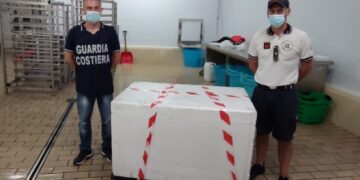 Pozzallo: sequestrato un quintale di prodotti ittici provenienti da Malta